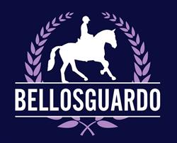 Centro Ippico Bellosguardo