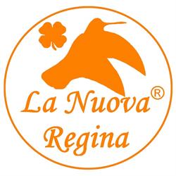 Sag Nature s.r.l