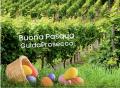 Pasqua i  Guidaprosecco