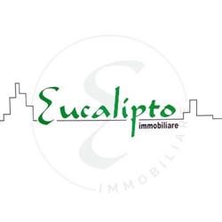Eucalipto Immobiliare