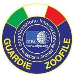 OIPA Viterbo