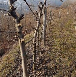 B&B Azienda Agricola Cantoni