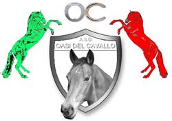 L'Oasi del cavallo