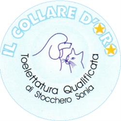 Il collare d'oro di Stocchero Sonia