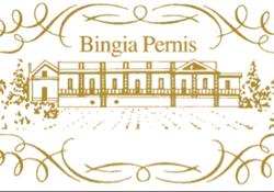 Bingia Pernis