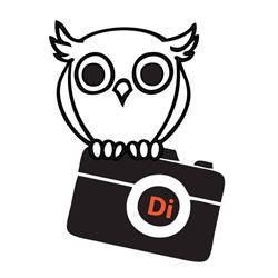 Digilab On Line