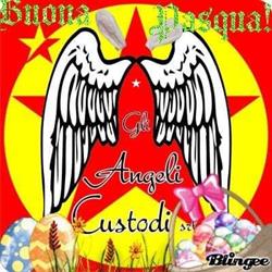 Gli Angeli Custodi s.r.l.
