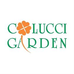 Colucci Garden Srl