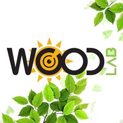 WoodLab ingegneria
