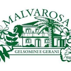Malvarosa