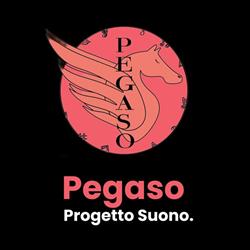 Pegaso Progetto Suono - Scuola di musica