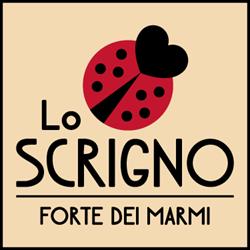 Lo Scrigno Forte dei Marmi