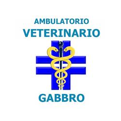 Ambulatorio Veterinario Gabbro