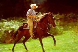 ASD Augusta Horse Riding