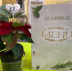 Ristorante Pizzeria Le Camelie