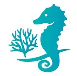 Flora e Fauna "Nature Aquarium Design"