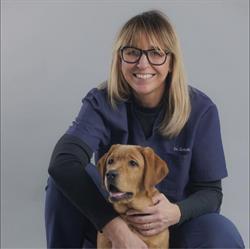 Clinica Veterinaria Cusago