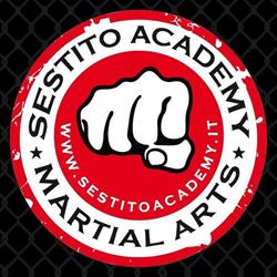 Sestito Academy of Martial Arts Asd
