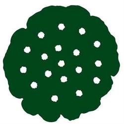 Nelumbo Open
