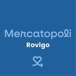 Mercatopoli Rovigo