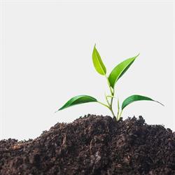 Agrigarden
