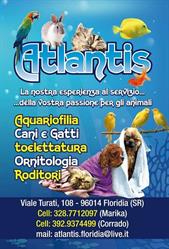 Atlantis