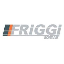Friggi Cutting Solutions