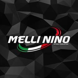 Melli Nino srl