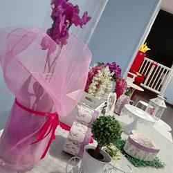 Fantajoy Eventi