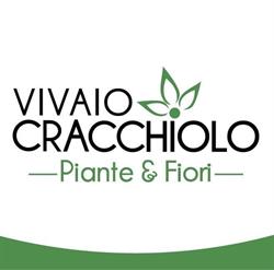 Vivaio Cracchiolo Piante & Fiori