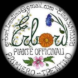 Erborì Piante Officinali Primiero