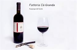 Fattoria Cà Granda