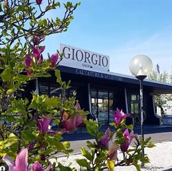 Giorgio Shoes