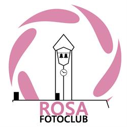Rosa Fotoclub