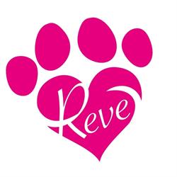 Reve Srl - Legatoria