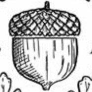 Orterie - Stazzona