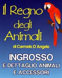 IL REGNO DEGLI Animali  di D'angelo Carmelo
