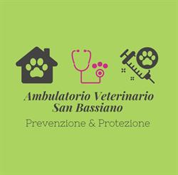 Ambulatorio Veterinario San Bassiano