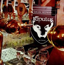 Cotton Pub Copertino