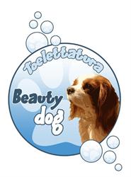 Toelettatura Beauty Dog