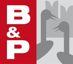 Elettroforniture B&P sas
