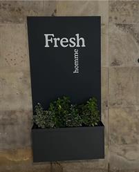 Fresh Rovigo