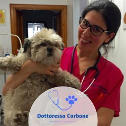 Ambulatorio Veterinario Dott.ssa Elisabetta Carbone