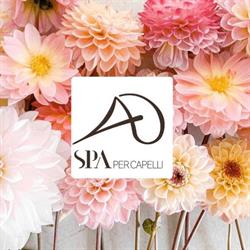 Andie SPA per Capelli