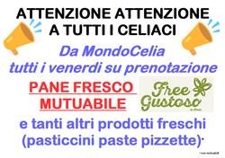 MondoCelia