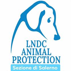 Lega Nazionale Per La Difesa Del Cane - Sez. Salerno