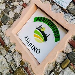 Agriturismo Agrimarino Trentinara