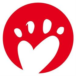 Pensione per cani Bauhaus
