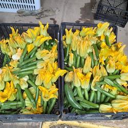 Azienda Agricola Mansutti