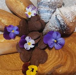 IL COLIBRÌ B&B